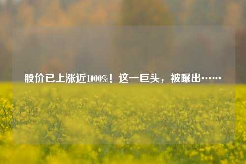 股价已上涨近1000%！这一巨头，被曝出……