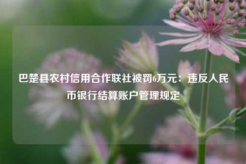 巴楚县农村信用合作联社被罚6万元：违反人民币银行结算账户管理规定