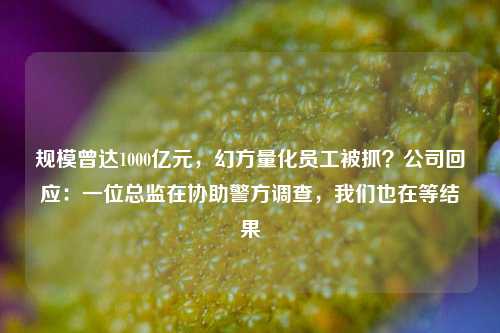 规模曾达1000亿元，幻方量化员工被抓？公司回应：一位总监在协助警方调查，我们也在等结果