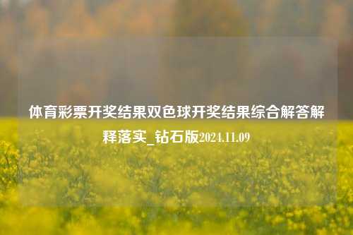 体育彩票开奖结果双色球开奖结果综合解答解释落实_钻石版2024.11.09