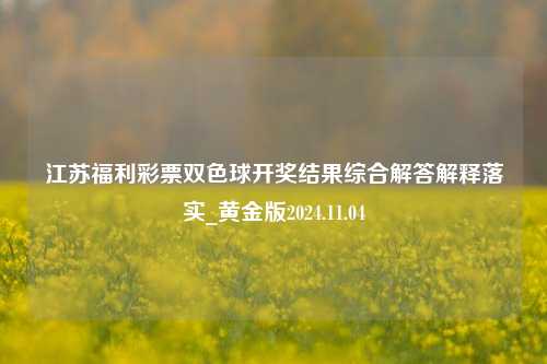 江苏福利彩票双色球开奖结果综合解答解释落实_黄金版2024.11.04