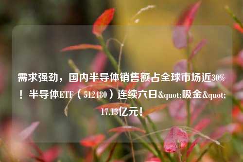 需求强劲，国内半导体销售额占全球市场近30%！半导体ETF（512480）连续六日"吸金"17.13亿元！