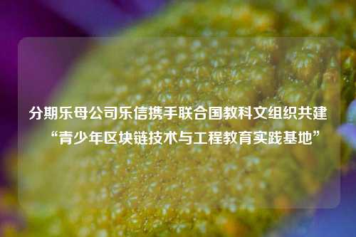 分期乐母公司乐信携手联合国教科文组织共建“青少年区块链技术与工程教育实践基地”