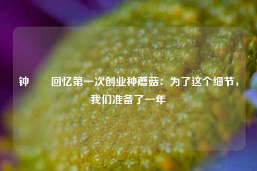 钟睒睒回忆第一次创业种蘑菇：为了这个细节，我们准备了一年