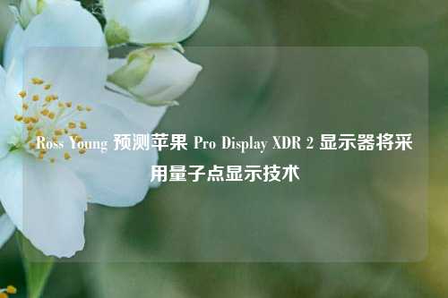 Ross Young 预测苹果 Pro Display XDR 2 显示器将采用量子点显示技术